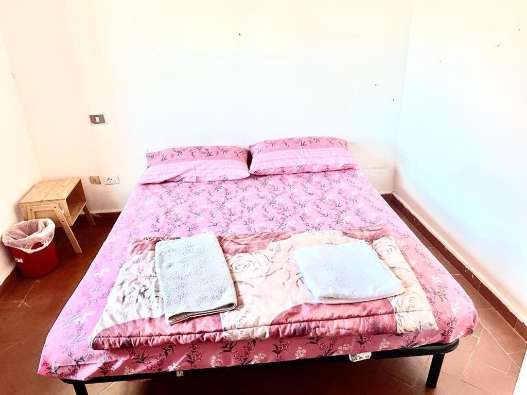 Cozy Bedroom Pisa Eksteriør billede